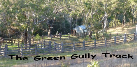 Green gully track