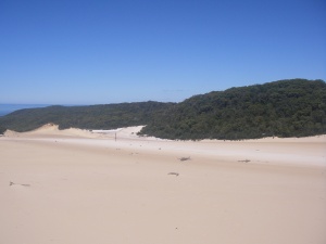 The Cooloola Sand Patch